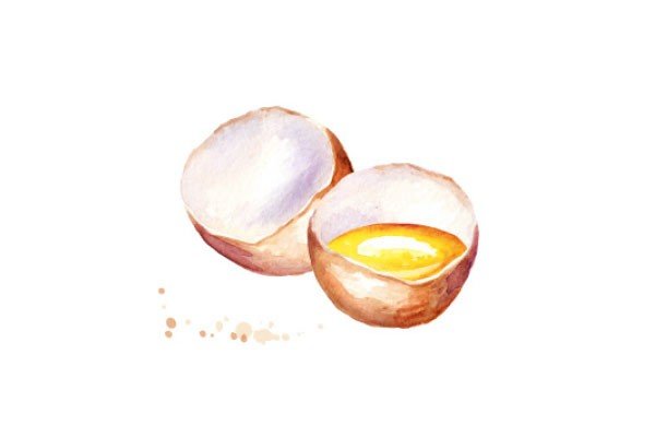 Illustration Eggs